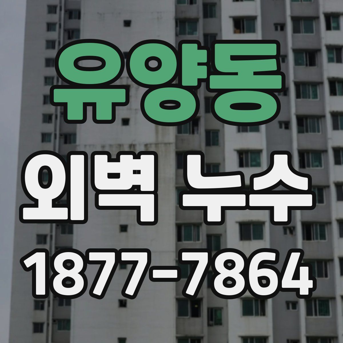 유양동 외벽 누수