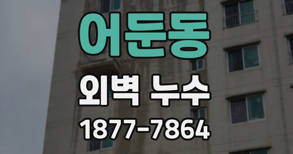 어둔동 외벽 누수