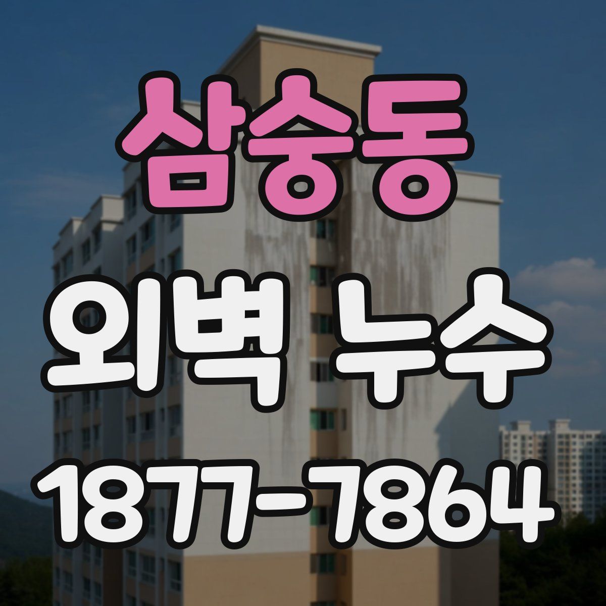 삼숭동 외벽 누수