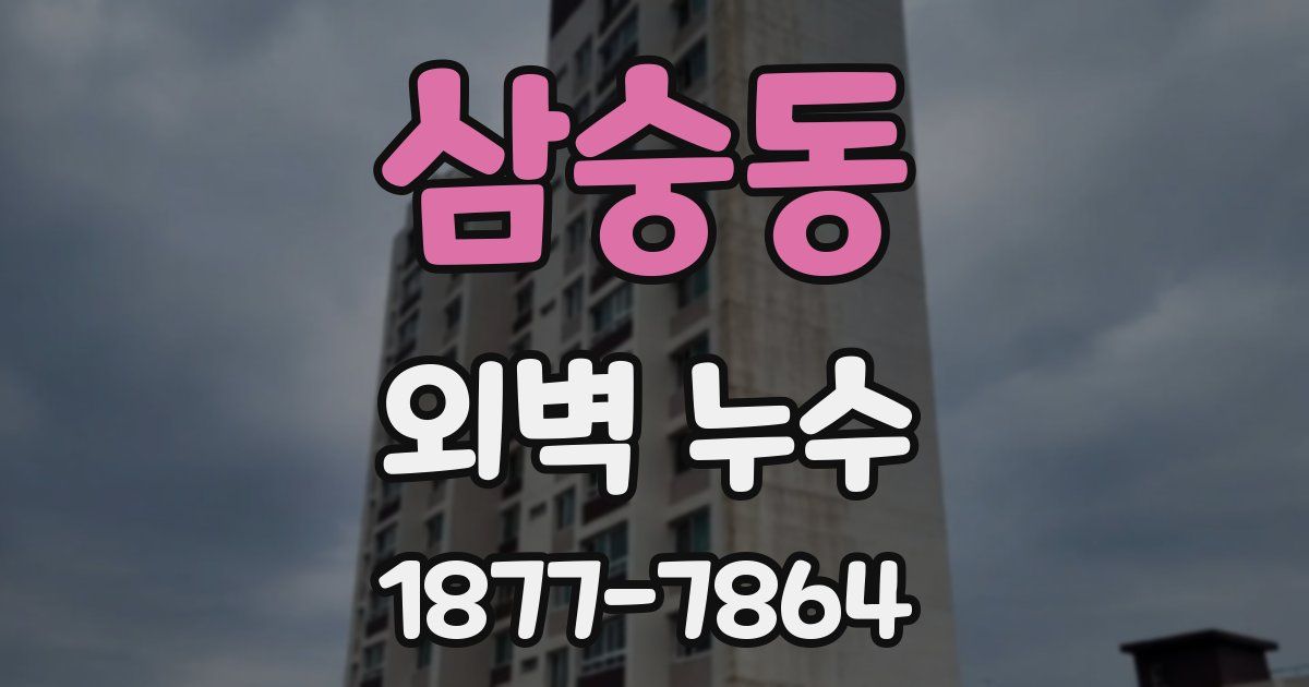 삼숭동 외벽 누수