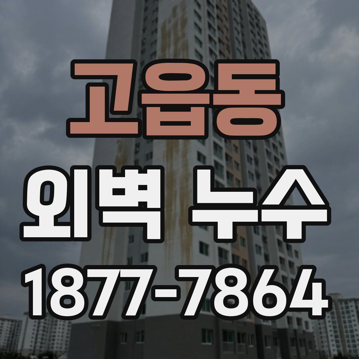 고읍동 외벽 누수