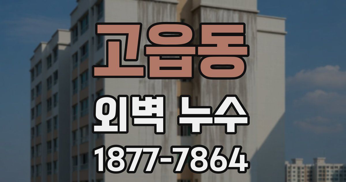 고읍동 외벽 누수