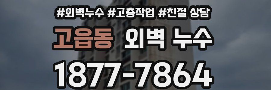 고읍동 외벽 누수