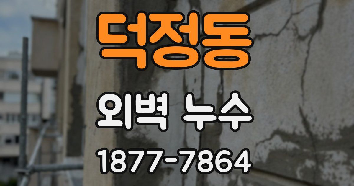 덕정동 외벽 누수