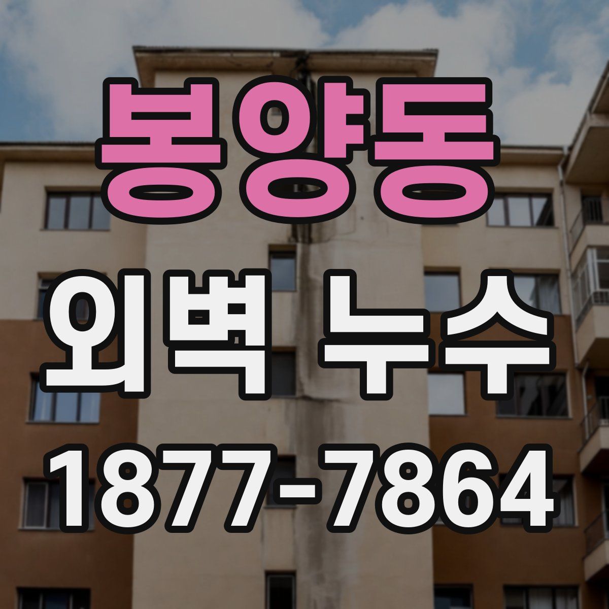 봉양동 외벽 누수
