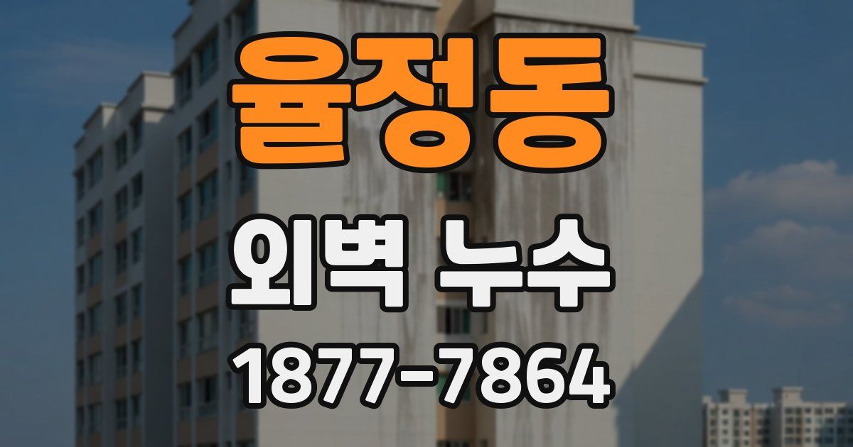 율정동 외벽 누수