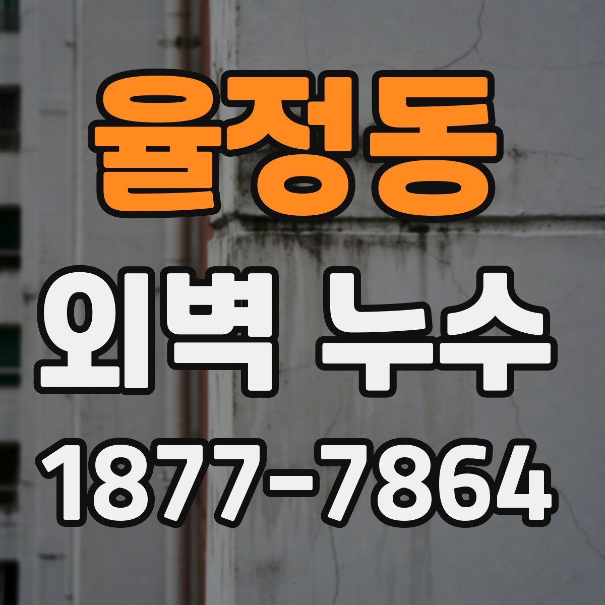 율정동 외벽 누수