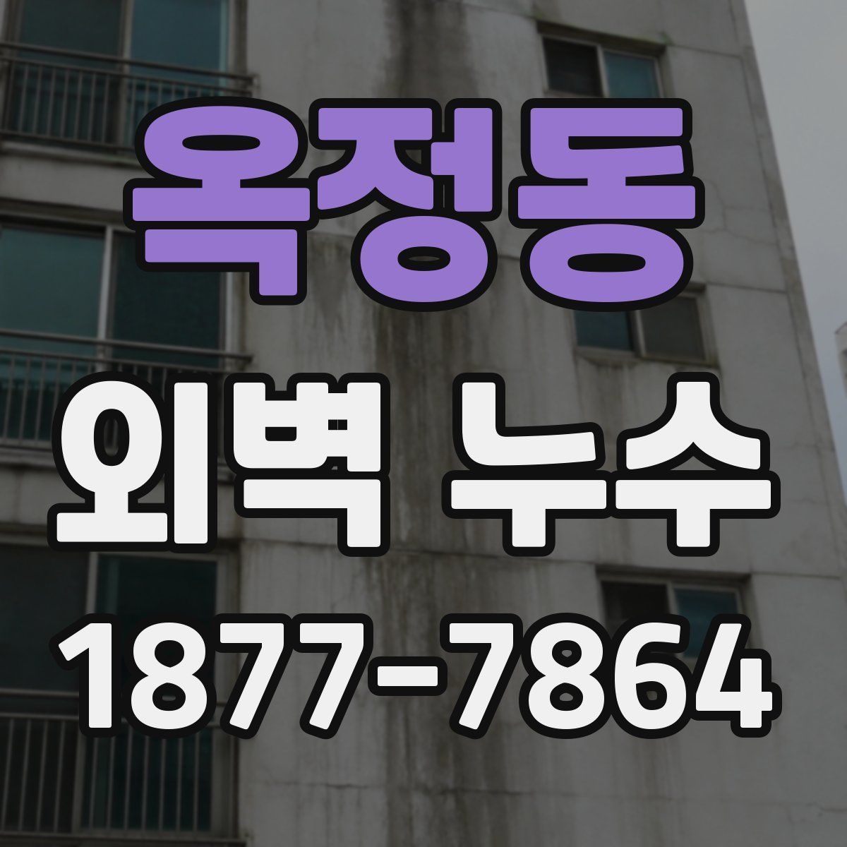 옥정동 외벽 누수