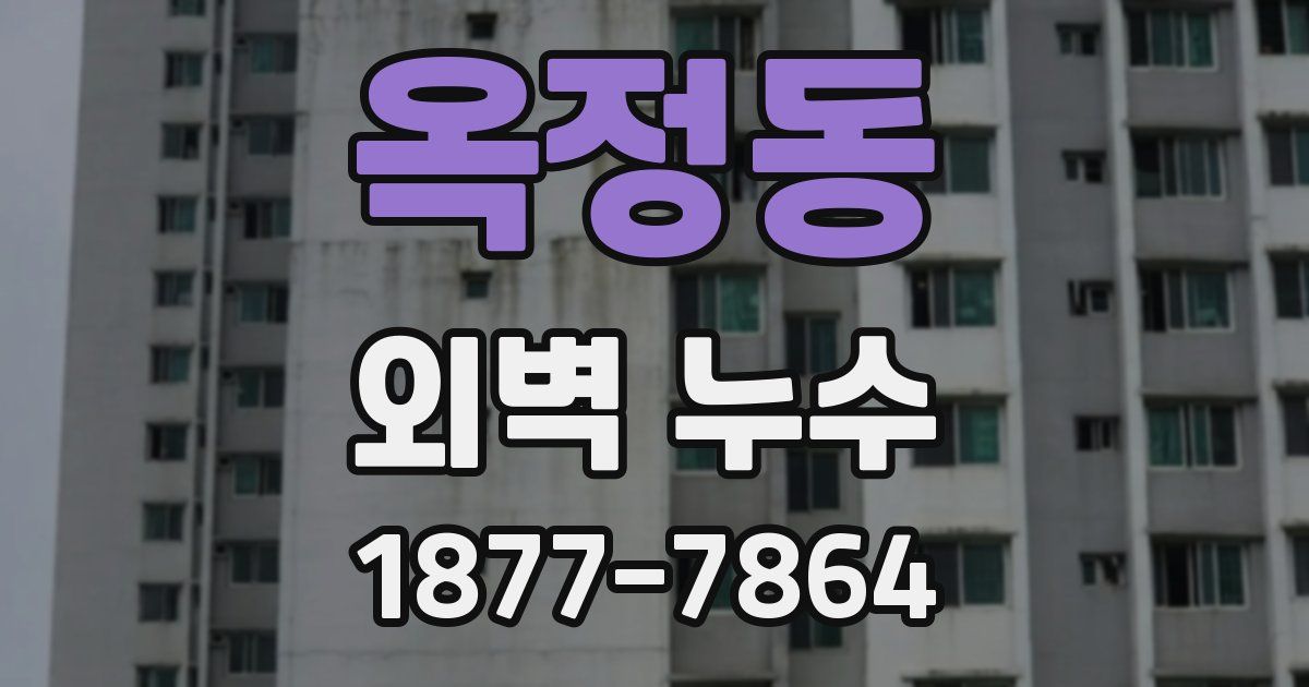 옥정동 외벽 누수