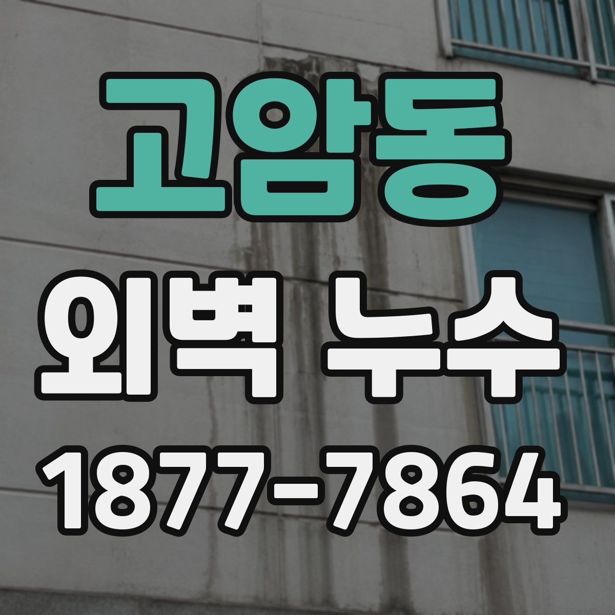 고암동 외벽 누수