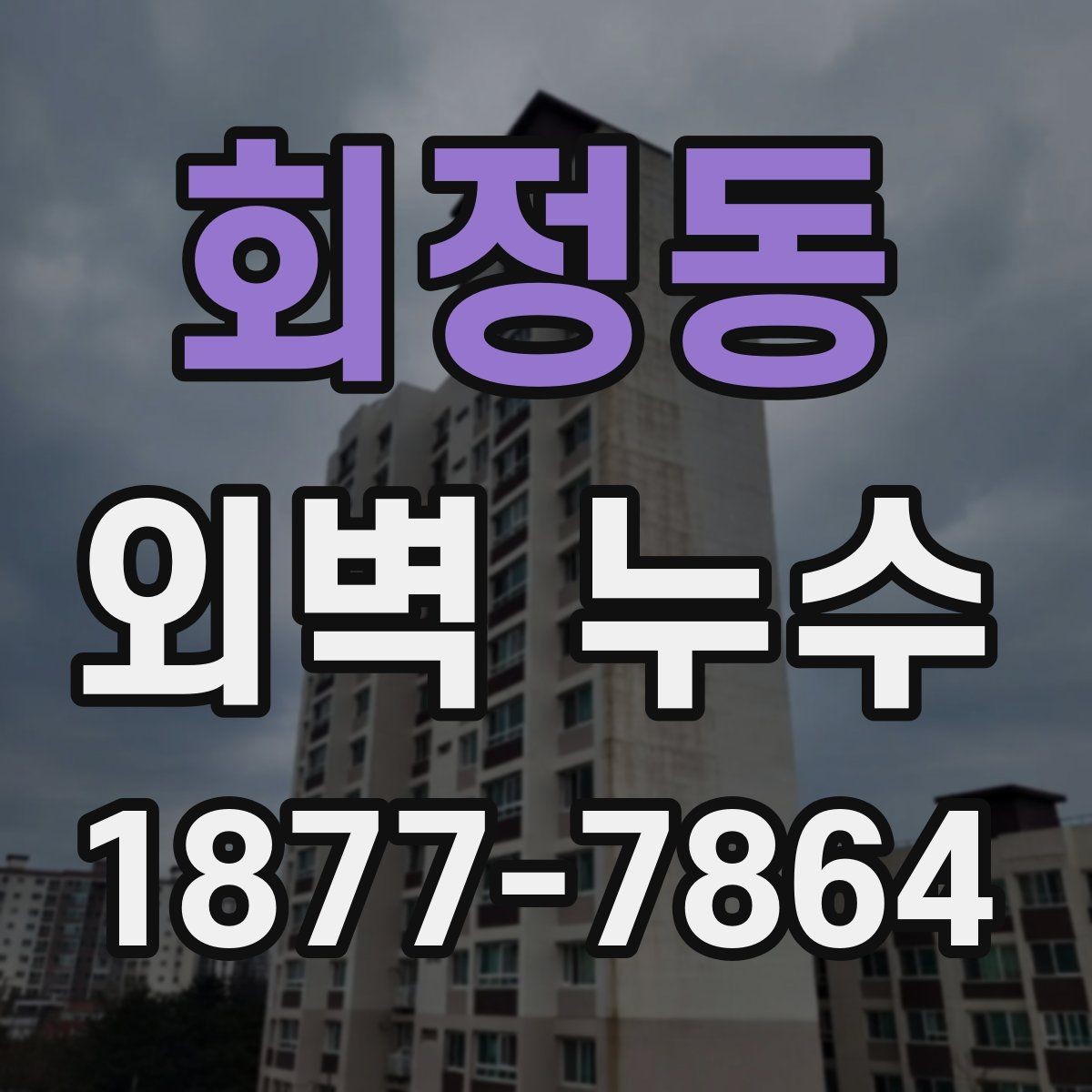 회정동 외벽 누수 진단에서 자주 놓치는 포인트