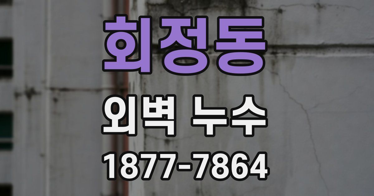 회정동 외벽 누수