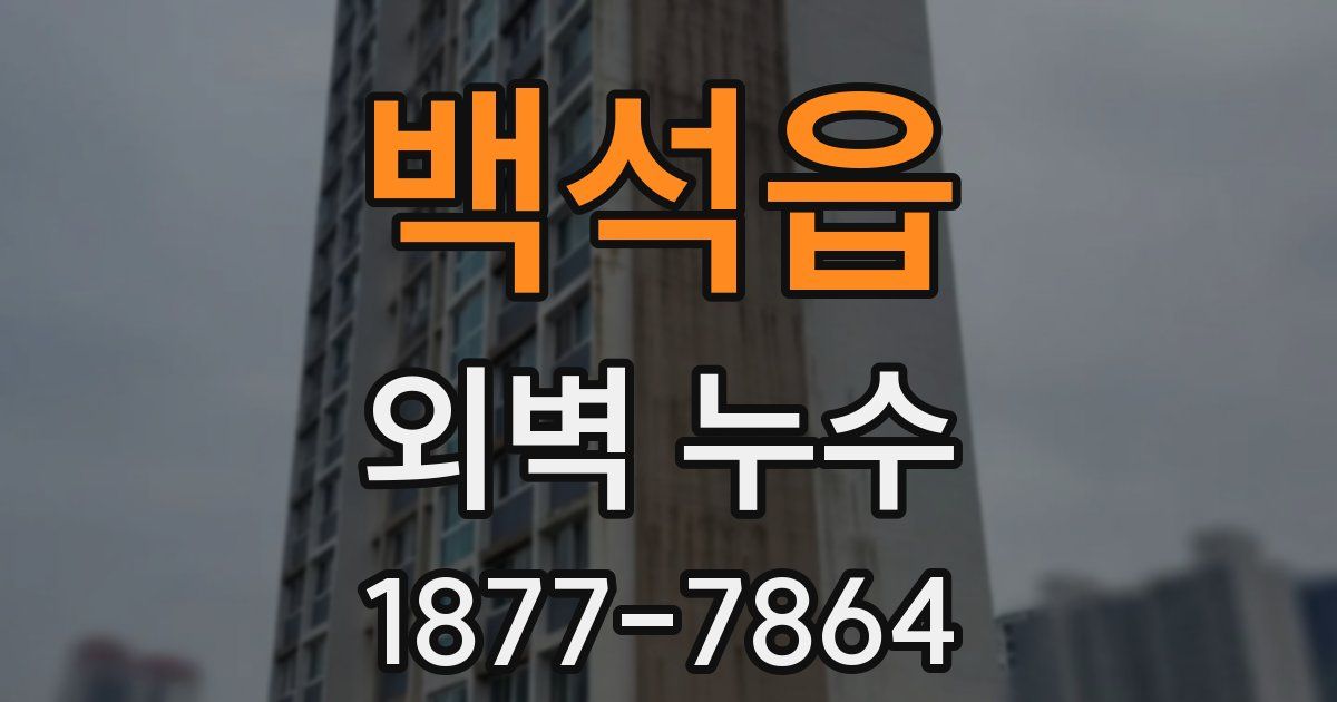 백석읍 외벽 누수