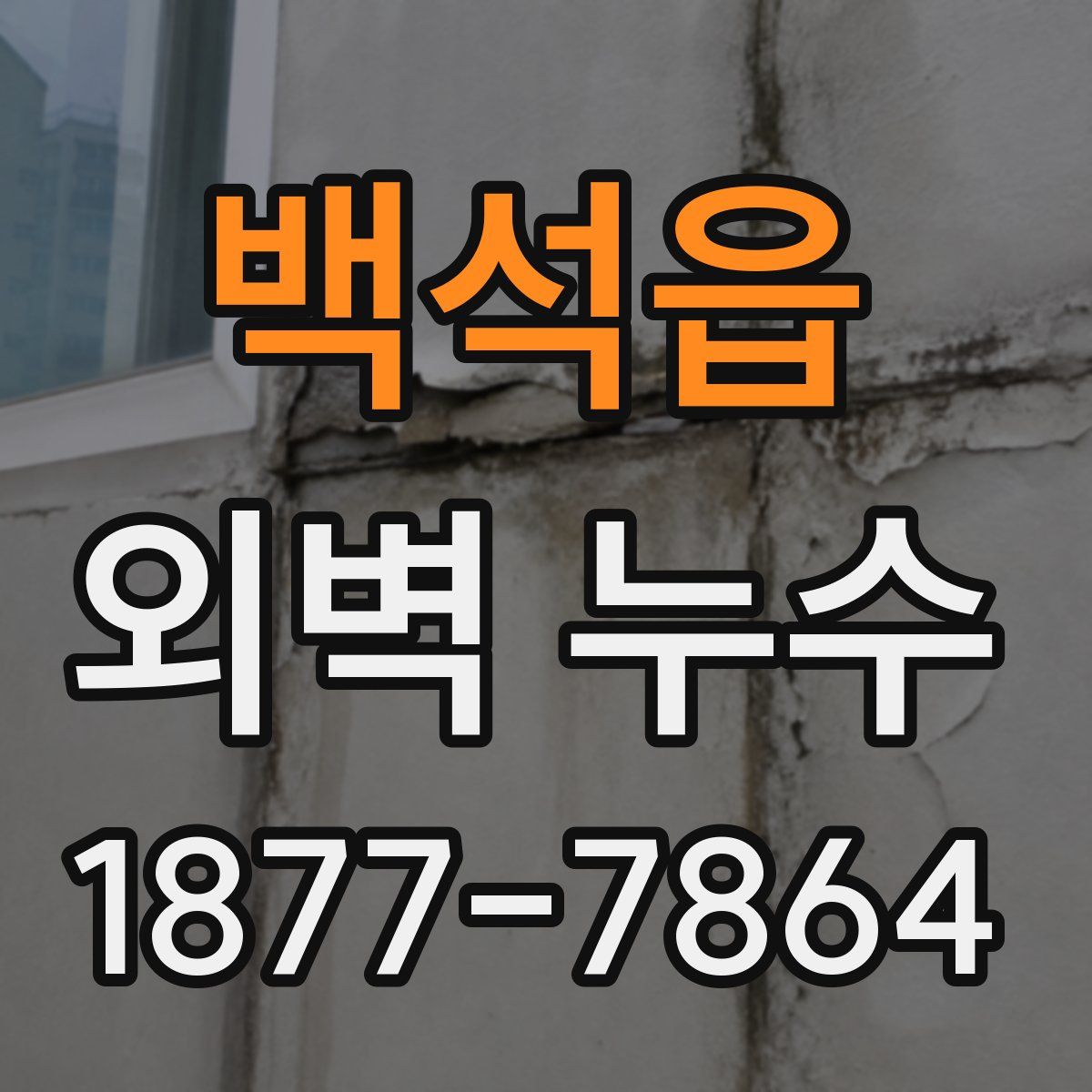 백석읍 외벽 누수