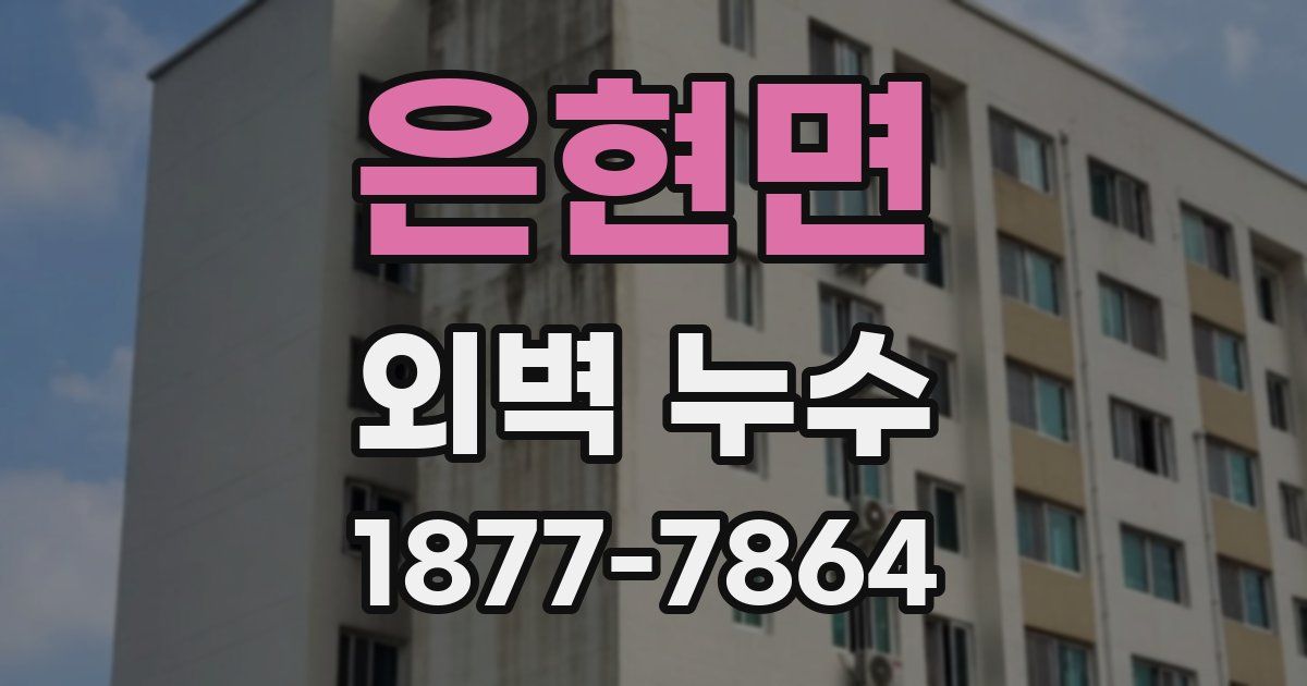 은현면 외벽 누수