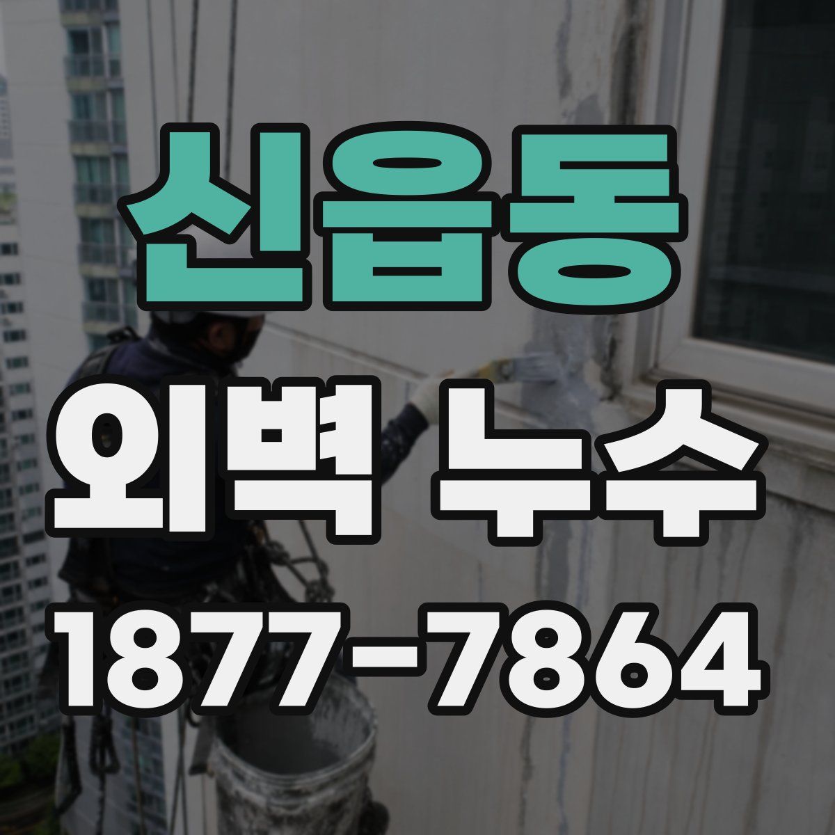 신읍동 외벽 누수