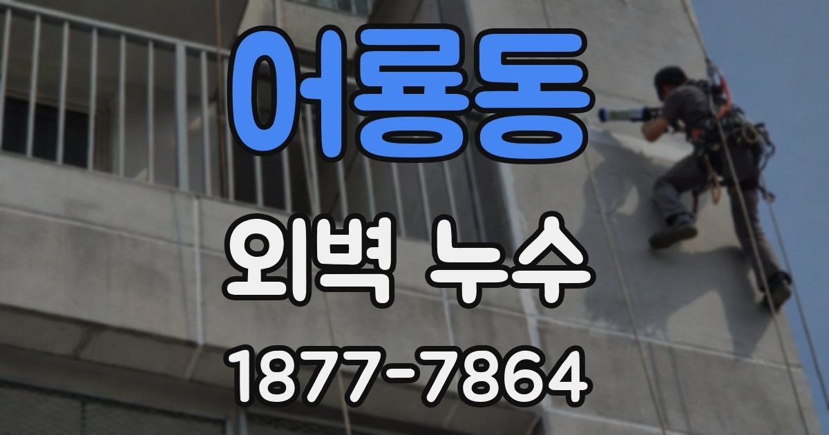 어룡동 외벽 누수