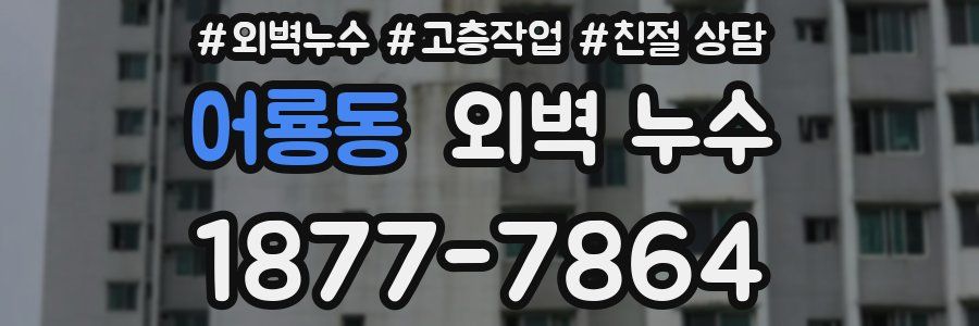어룡동 외벽 누수
