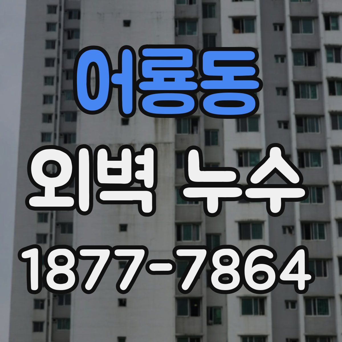 어룡동 외벽 누수