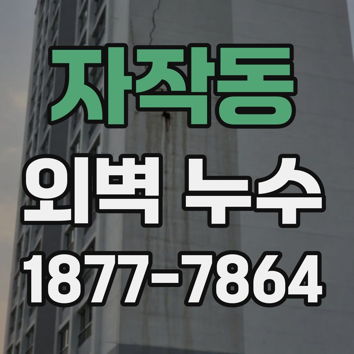 자작동 외벽 누수