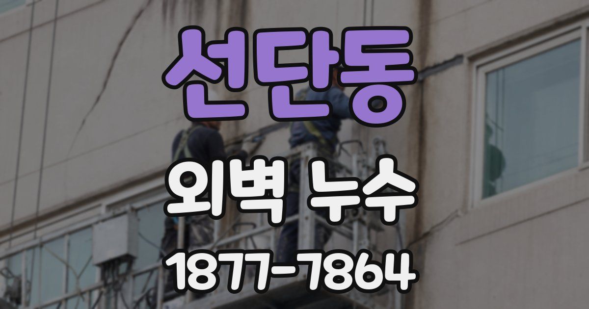선단동 외벽 누수