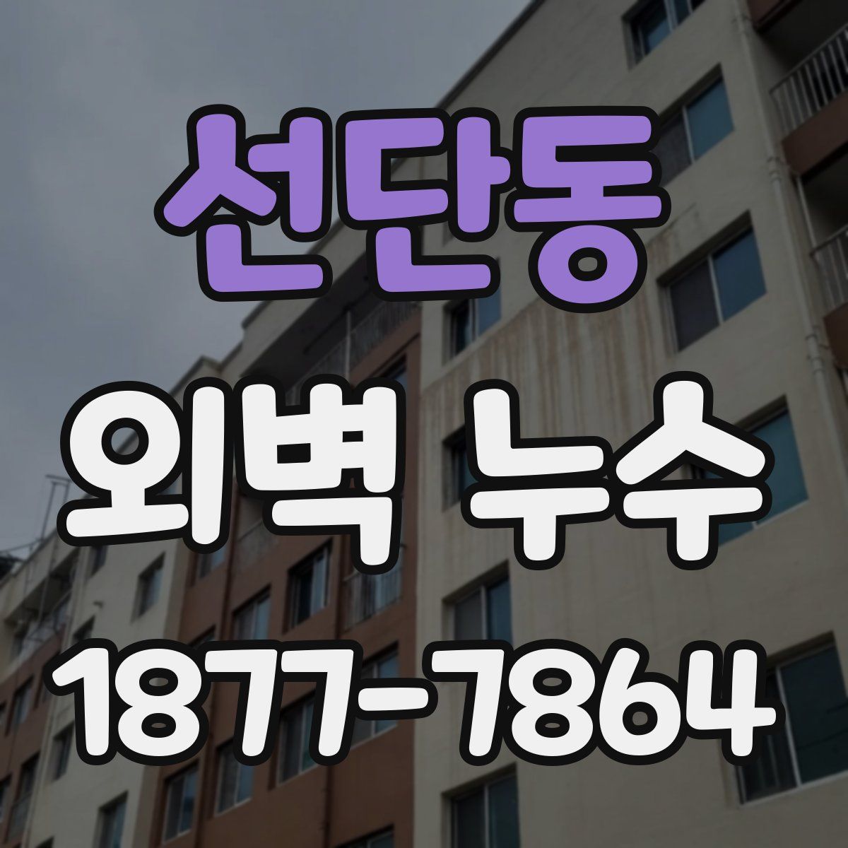 선단동 외벽 누수