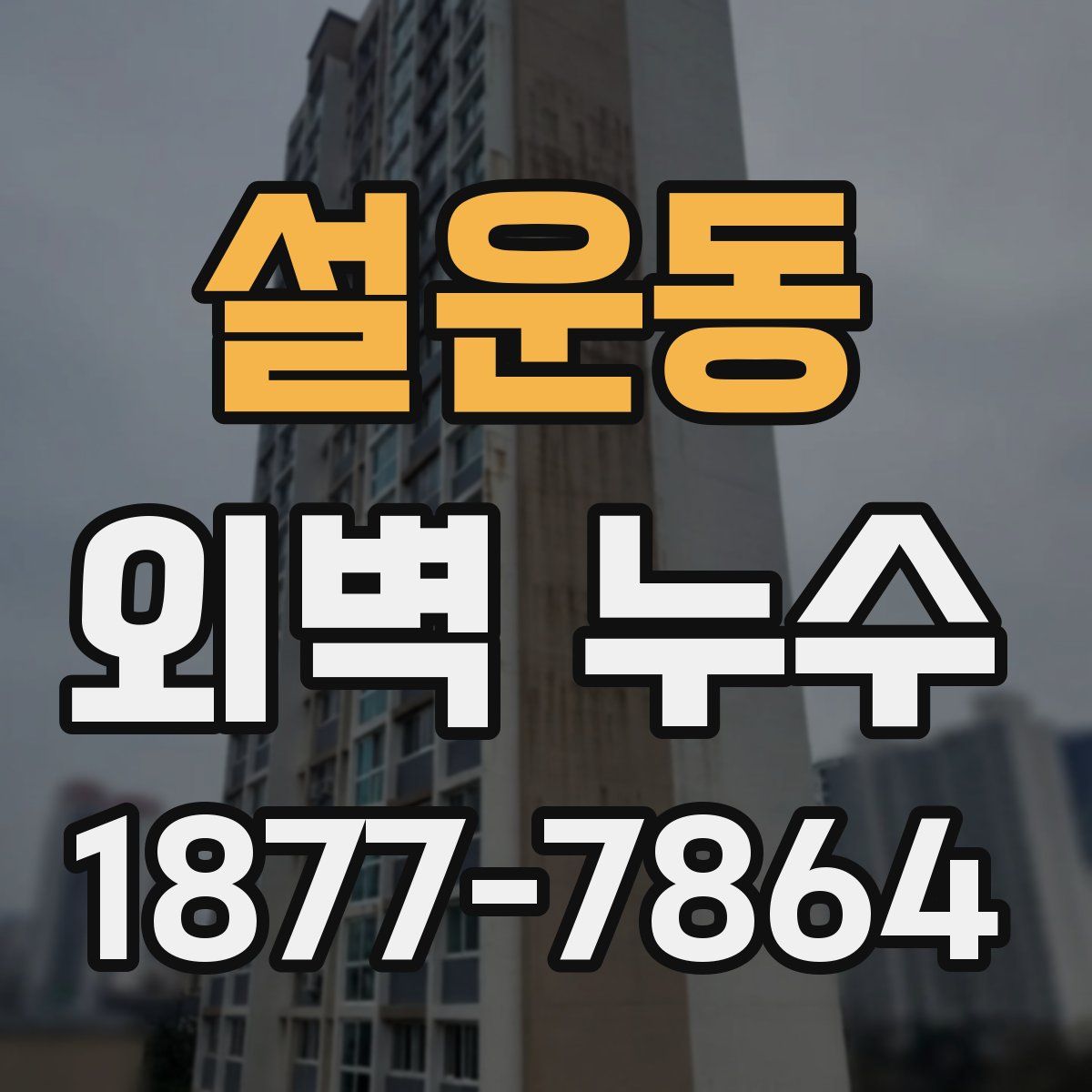 설운동 외벽 누수