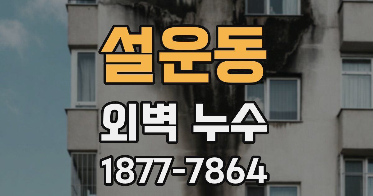 설운동 외벽 누수
