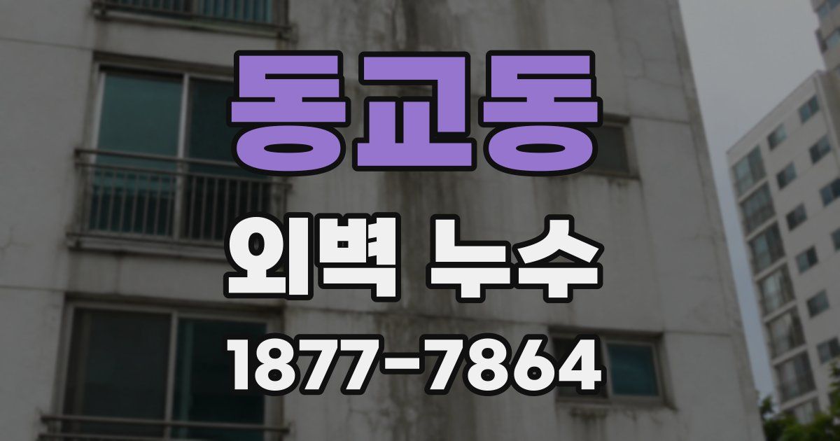 동교동 외벽 누수