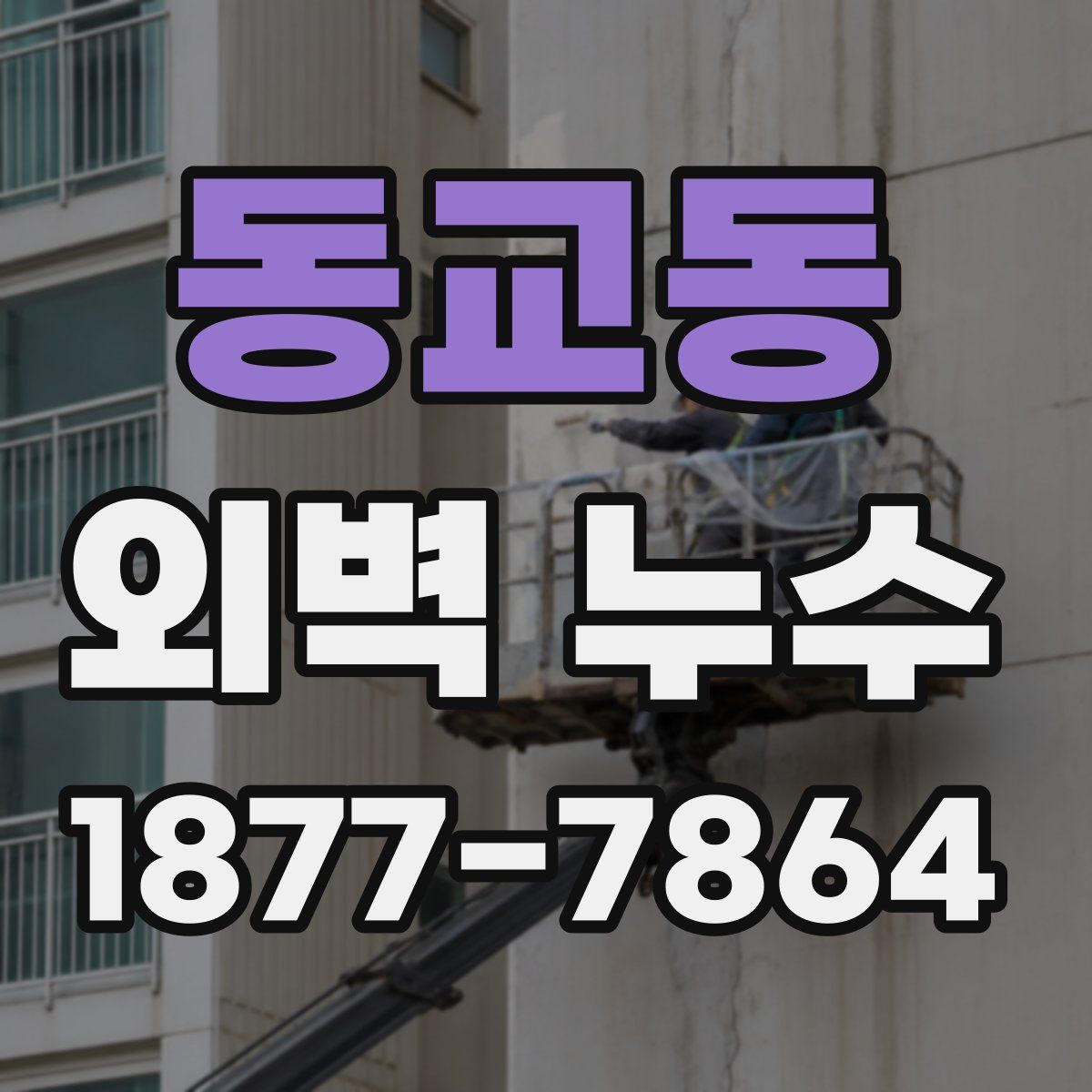 동교동 외벽 누수