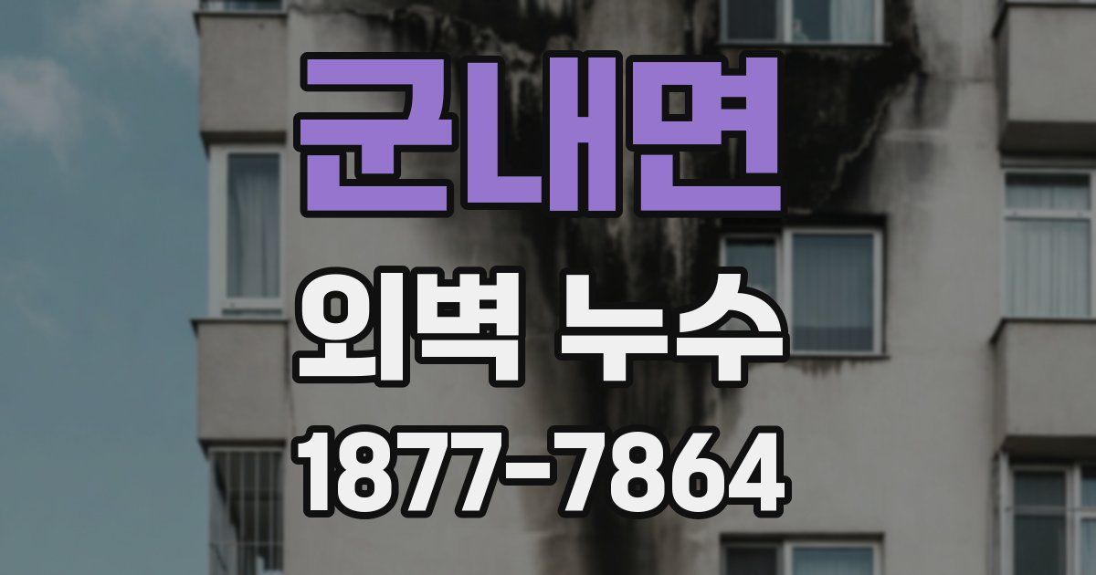 군내면 외벽 누수