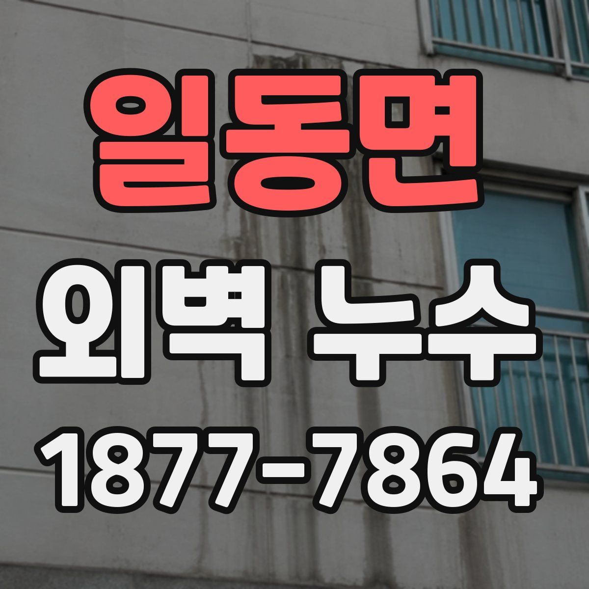 일동면 외벽 누수