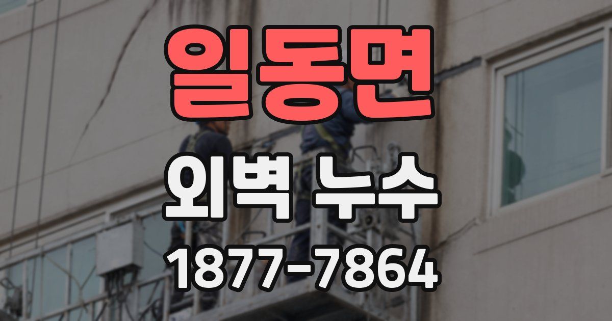 일동면 외벽 누수