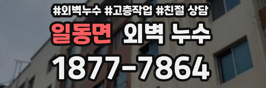 일동면 외벽 누수