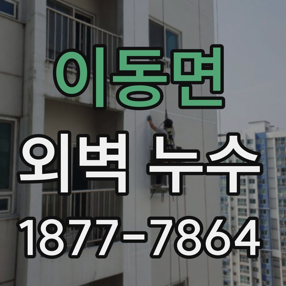 이동면 외벽 누수 보수 시기와 판단 기준