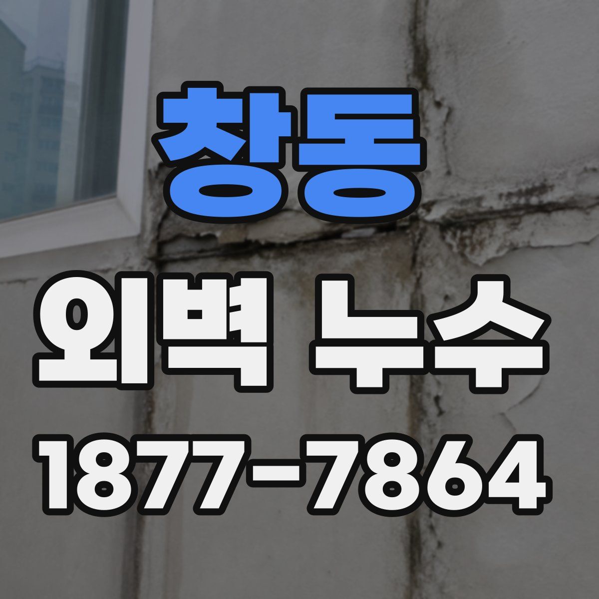 창동 외벽 누수
