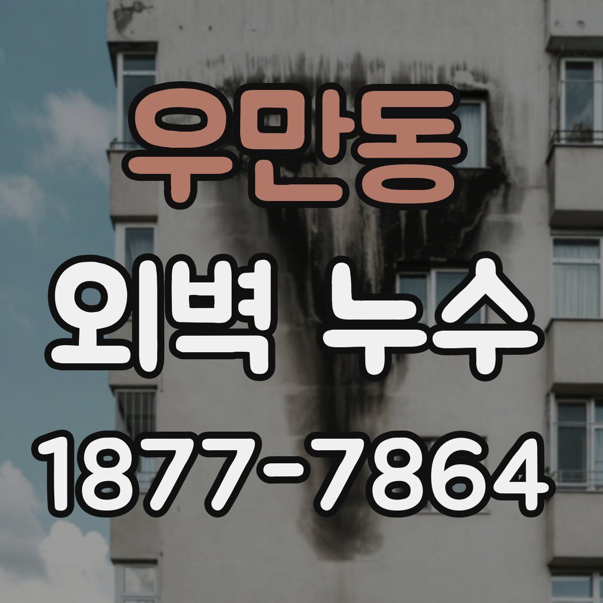 우만동 외벽 누수
