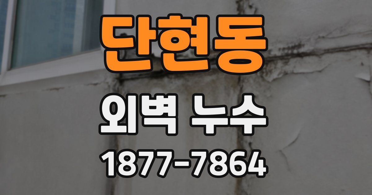 단현동 외벽 누수