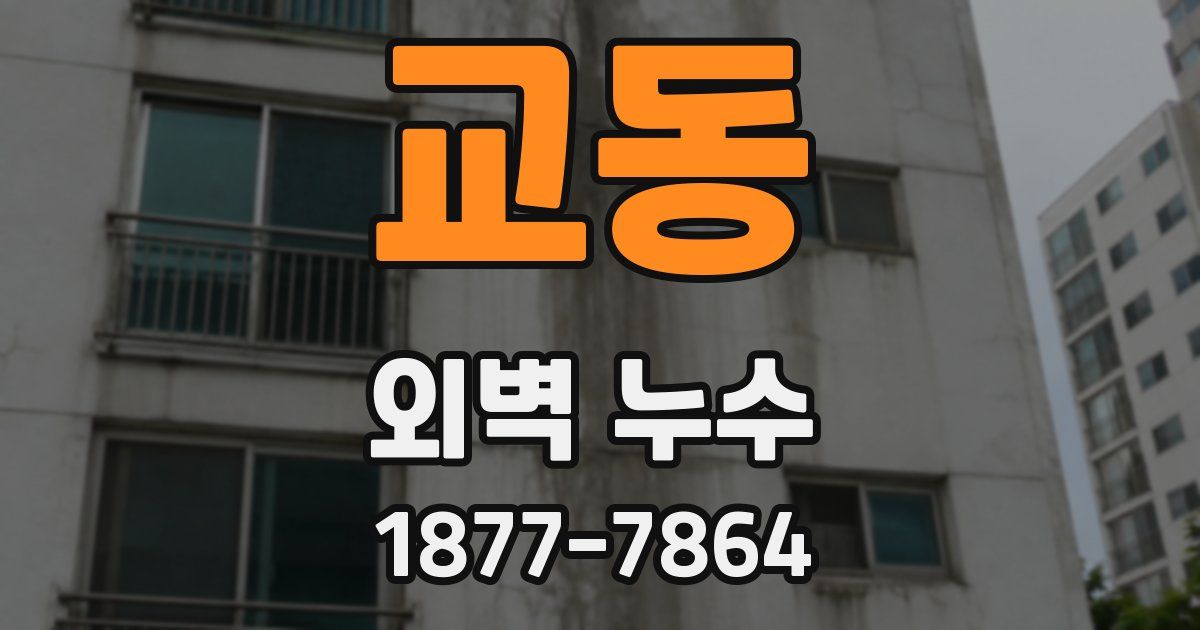 교동 외벽 누수