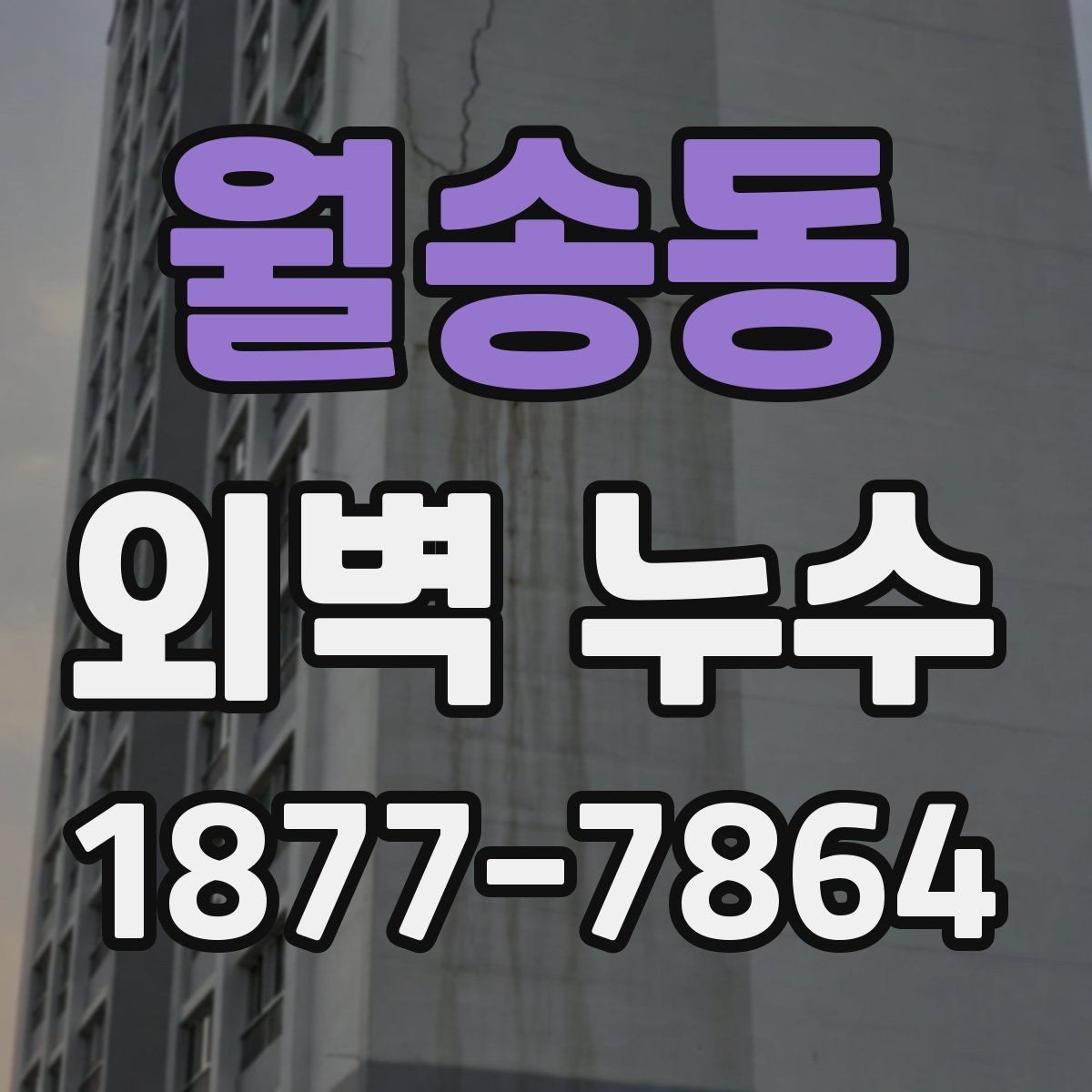 월송동 외벽 누수 의심 아파트에서 살펴볼 부분
