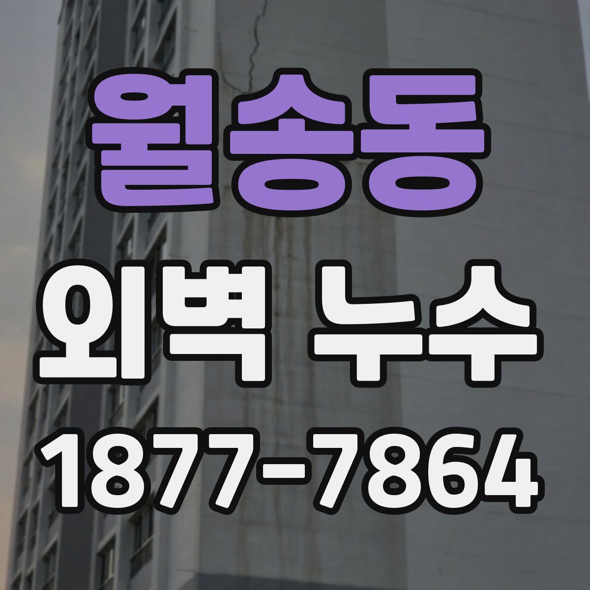 월송동 외벽 누수