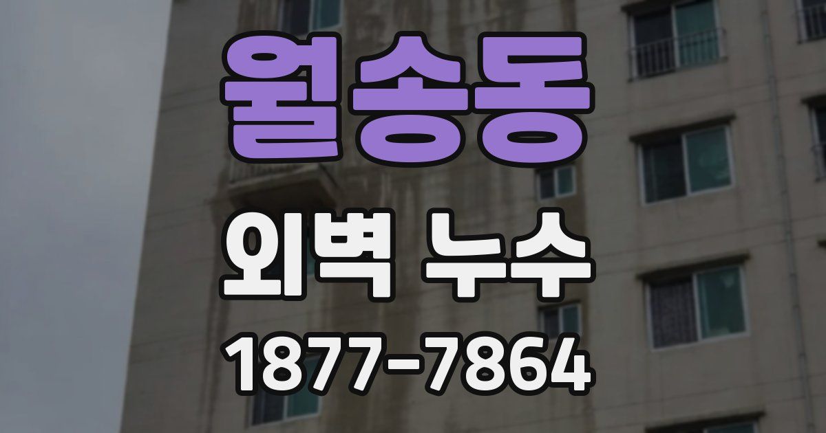 월송동 외벽 누수