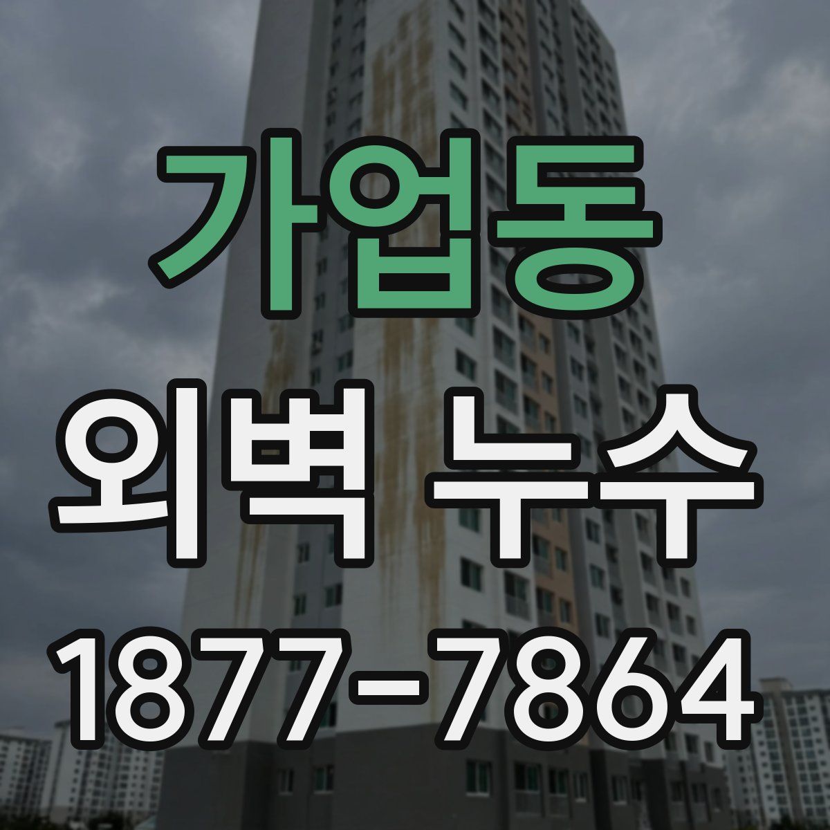 가업동 외벽 누수