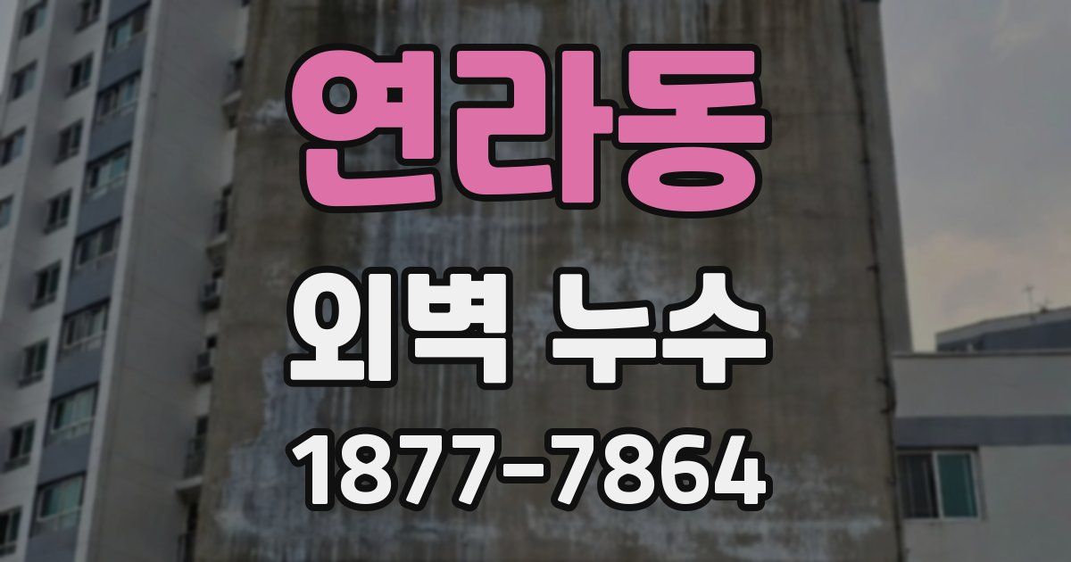 연라동 외벽 누수