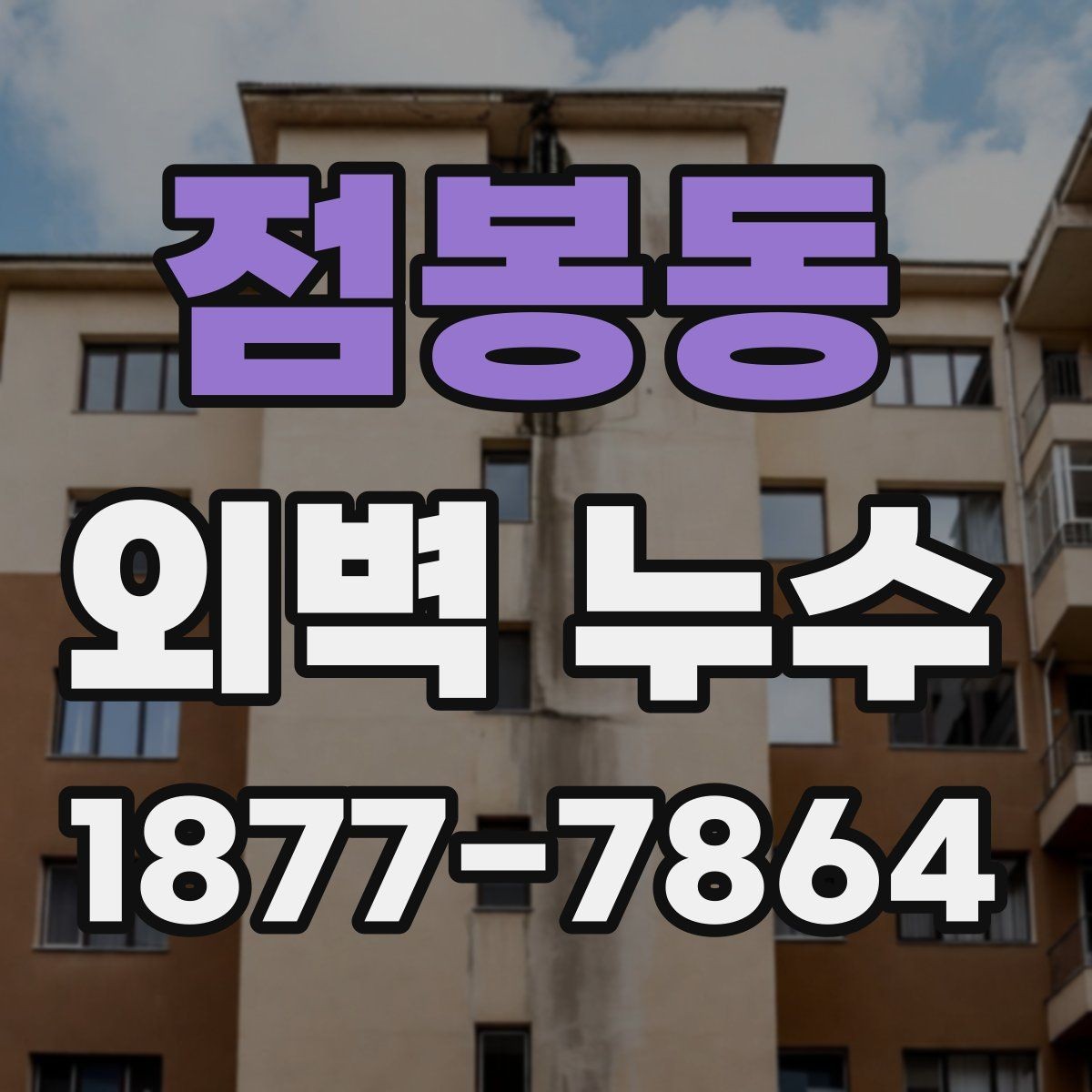 점봉동 외벽 누수 예방을 위한 외부 마감 관리