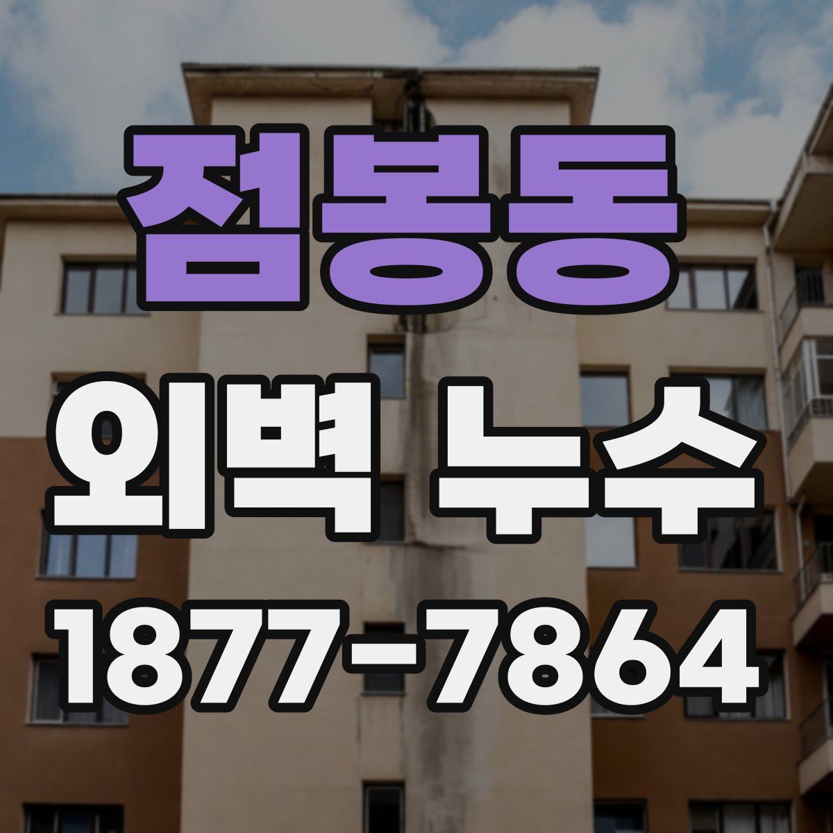 점봉동 외벽 누수