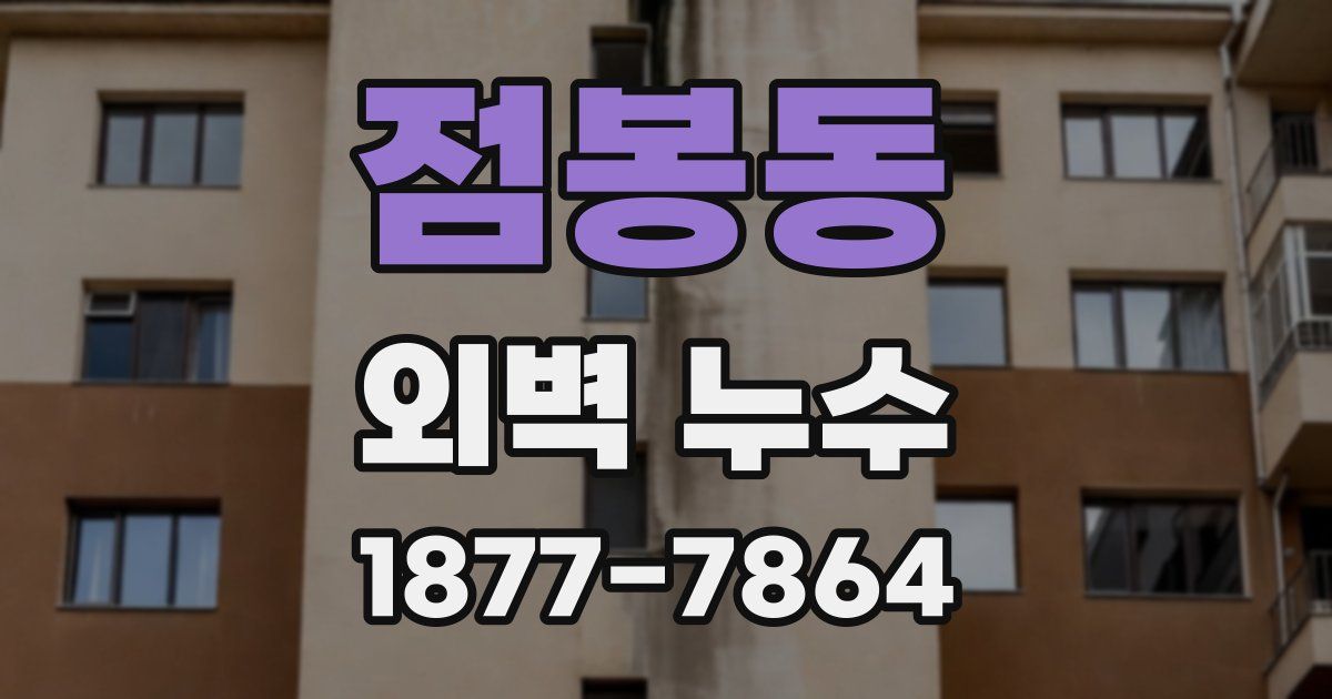 점봉동 외벽 누수