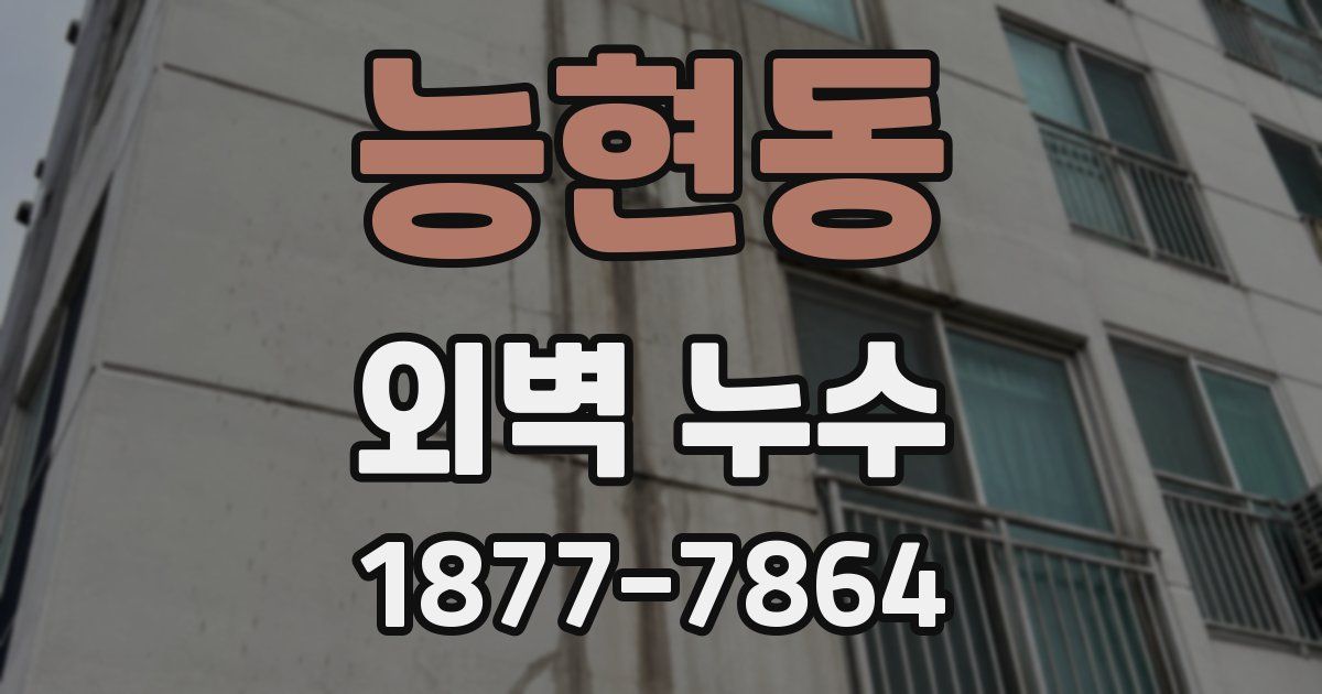 능현동 외벽 누수
