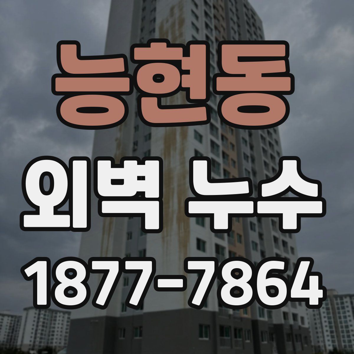 능현동 외벽 누수