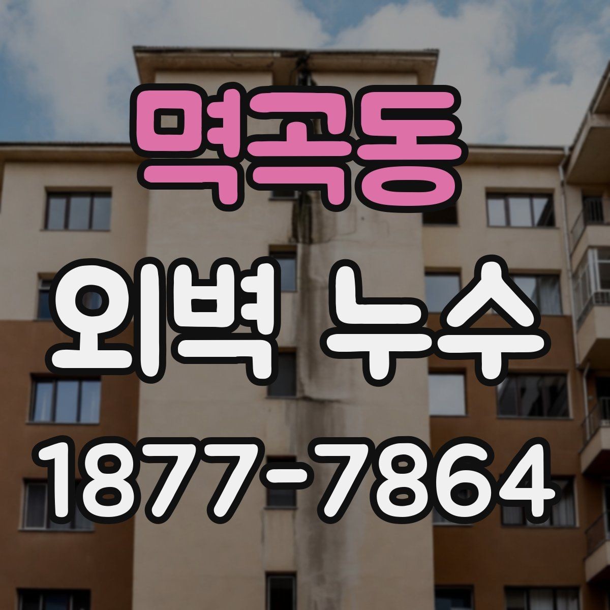 멱곡동 외벽 누수 보수 자재를 고르는 기준